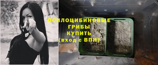 соль ск Зерноград